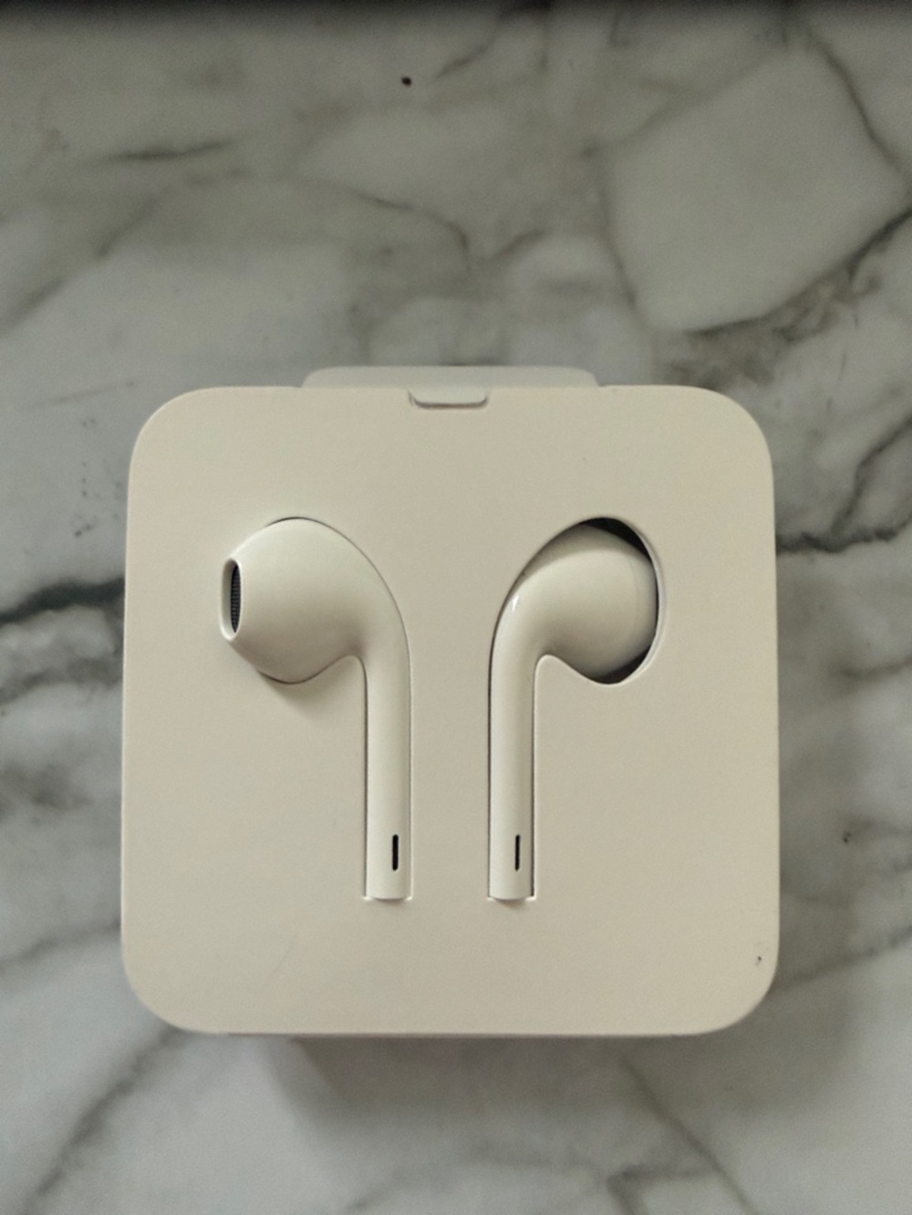 NWT Apple Wired Earbuds with lightening connection.